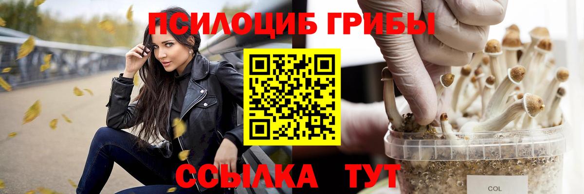 Галлюциногенные грибы Psilocybine cubensis Волжск