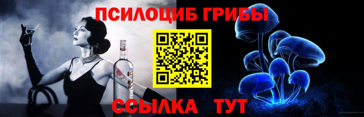 Волжск  Галлюциногенные грибы Psilocybine cubensis  Вход с VPN 